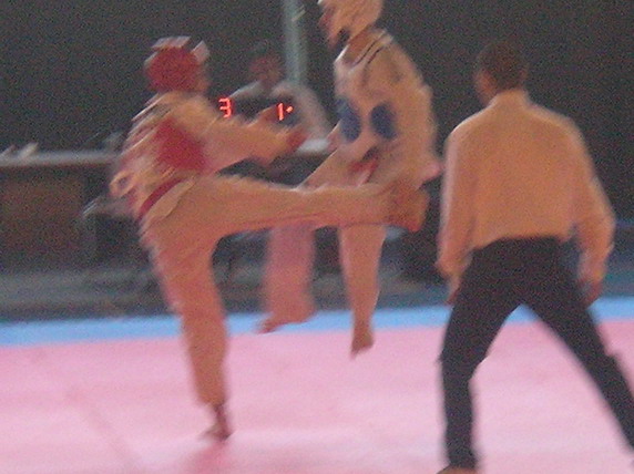 gal/Galerie 3/Sous-galerie 4/SANY0072.JPG